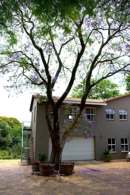 Wild Olive Executive Suite Johannesburgo Exterior foto